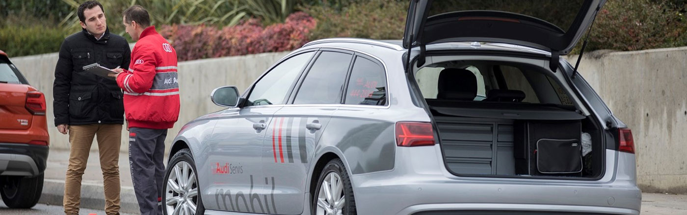 DOĞUŞ OTO (KARTAL)